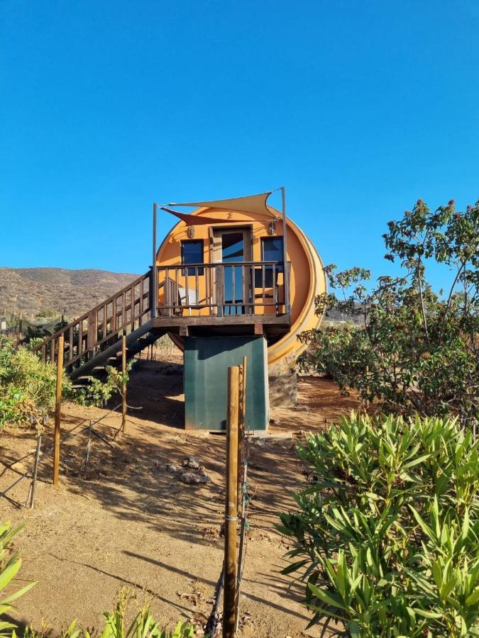 Finca El Mirador Вальє-де-Гуадалупе Екстер'єр фото